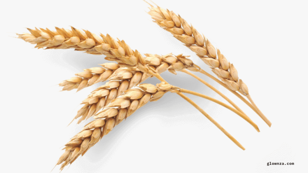 30 Health Benefits of Eating Oats and Oatmeal
